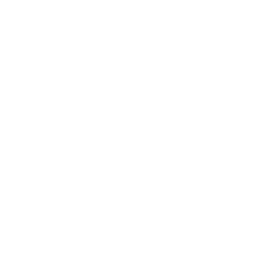 serving dish